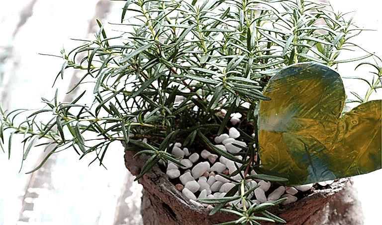 Biberiye Faydaları Biberiye Çayı Tarifi