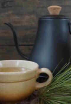 Çam İğnesi ÇayıTarifi Sağlığa Faydaları