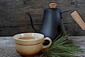 Çam İğnesi ÇayıTarifi Sağlığa Faydaları